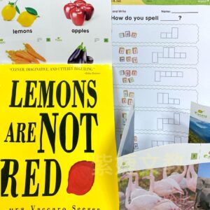 進口繪本+app+小書+字卡+學習單